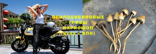 ешки Абинск