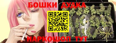мдпв Балашиха