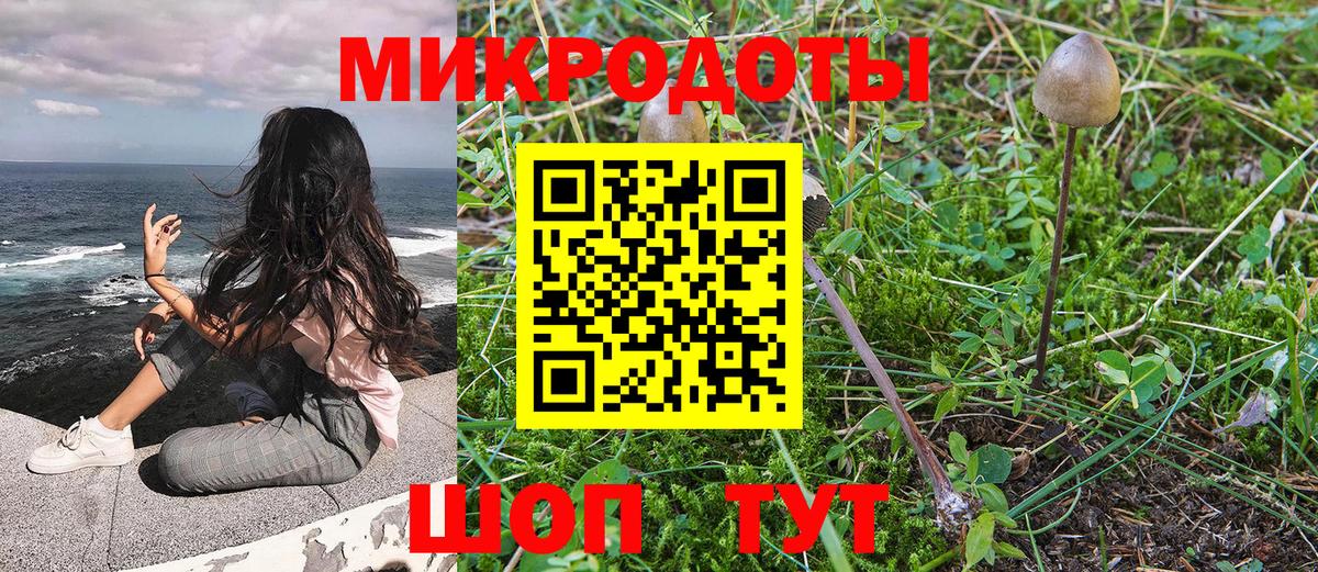 Галлюциногенные грибы Magic Shrooms Дзержинск