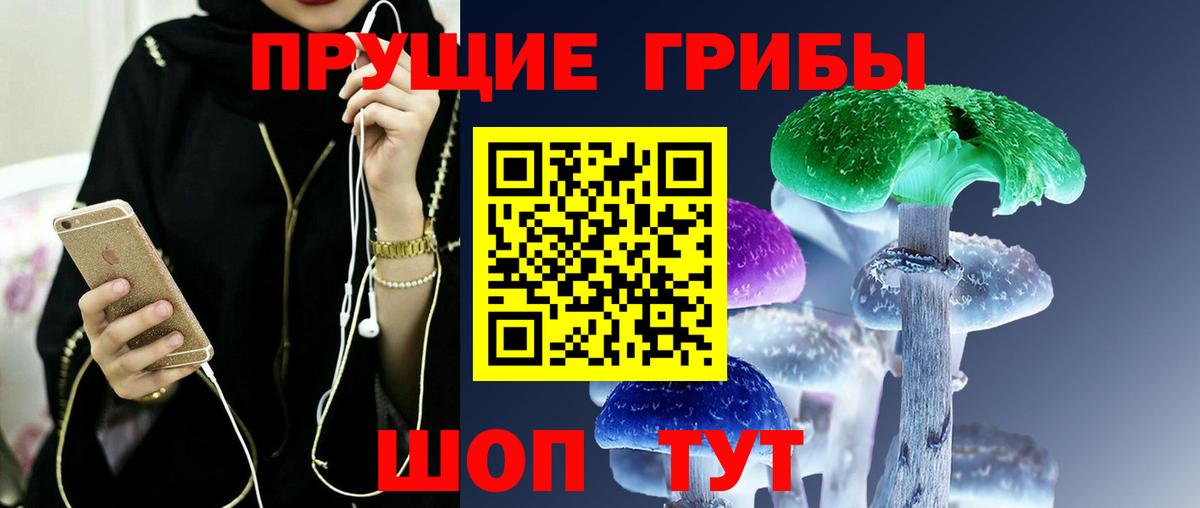 Дзержинск  Галлюциногенные грибы GOLDEN TEACHER  Вход с VPN 